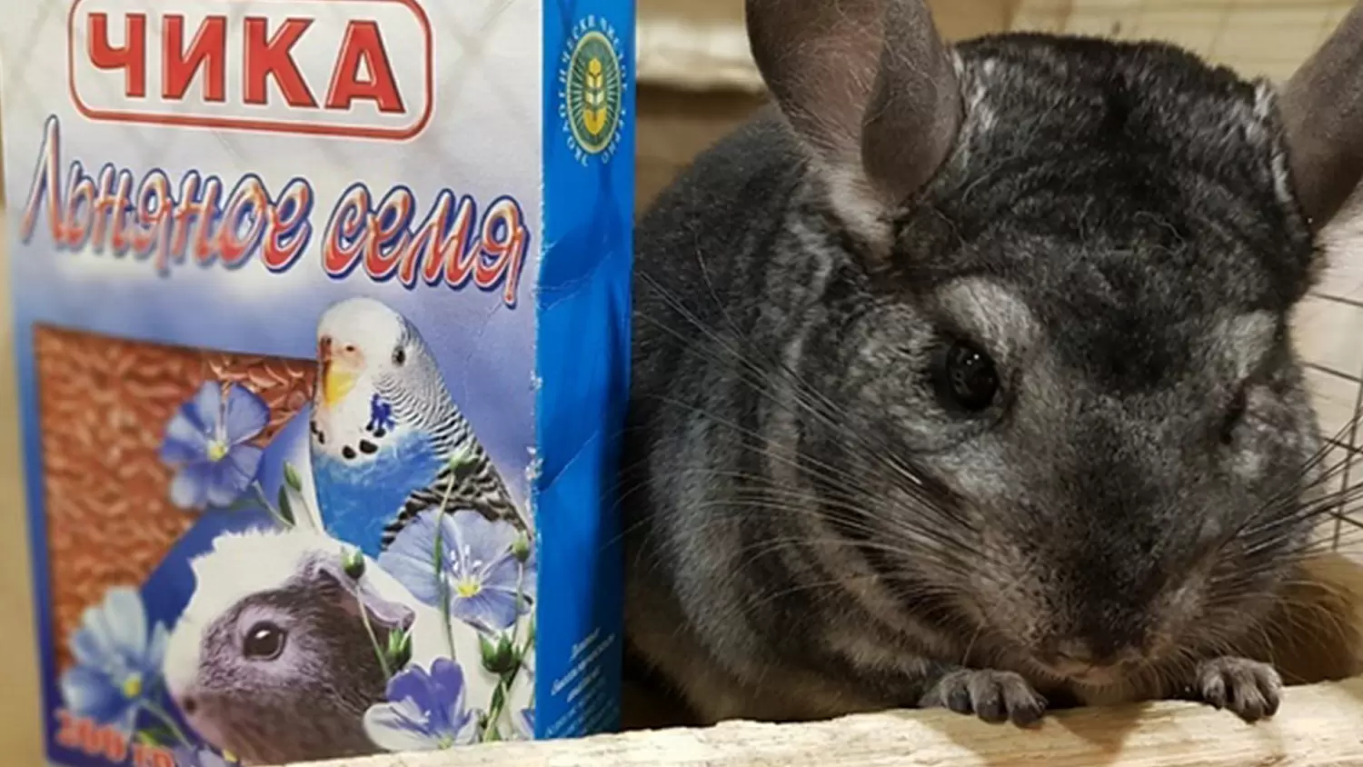 Льняное семя