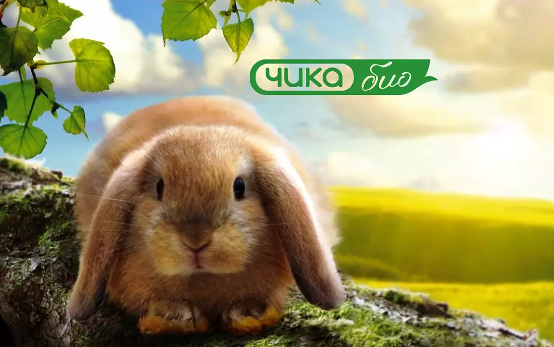 Корма сделанные вручную с любовью