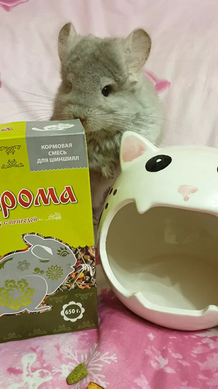 Кормовая смесь для шиншилл